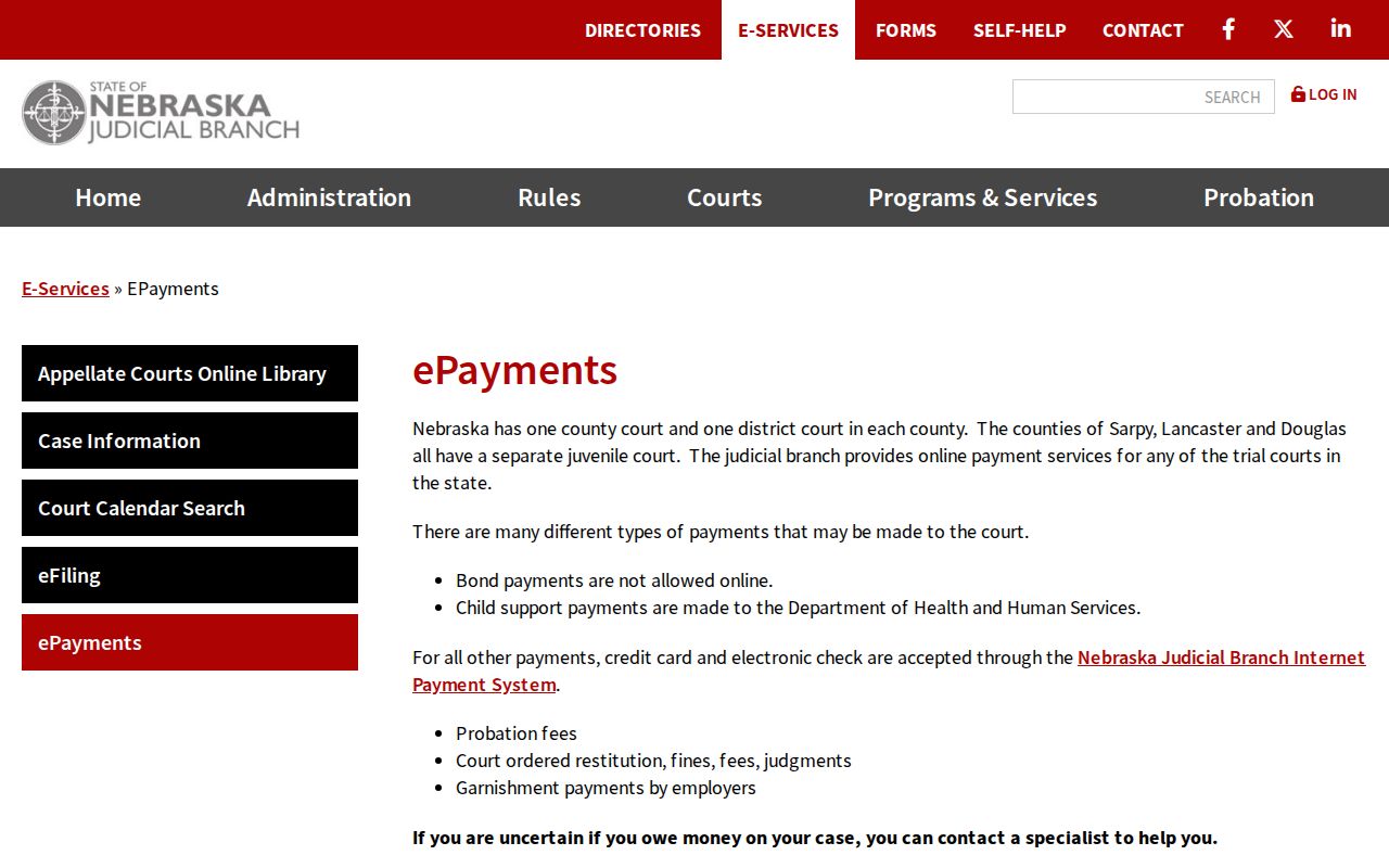 Nance County traffic court ePayments service